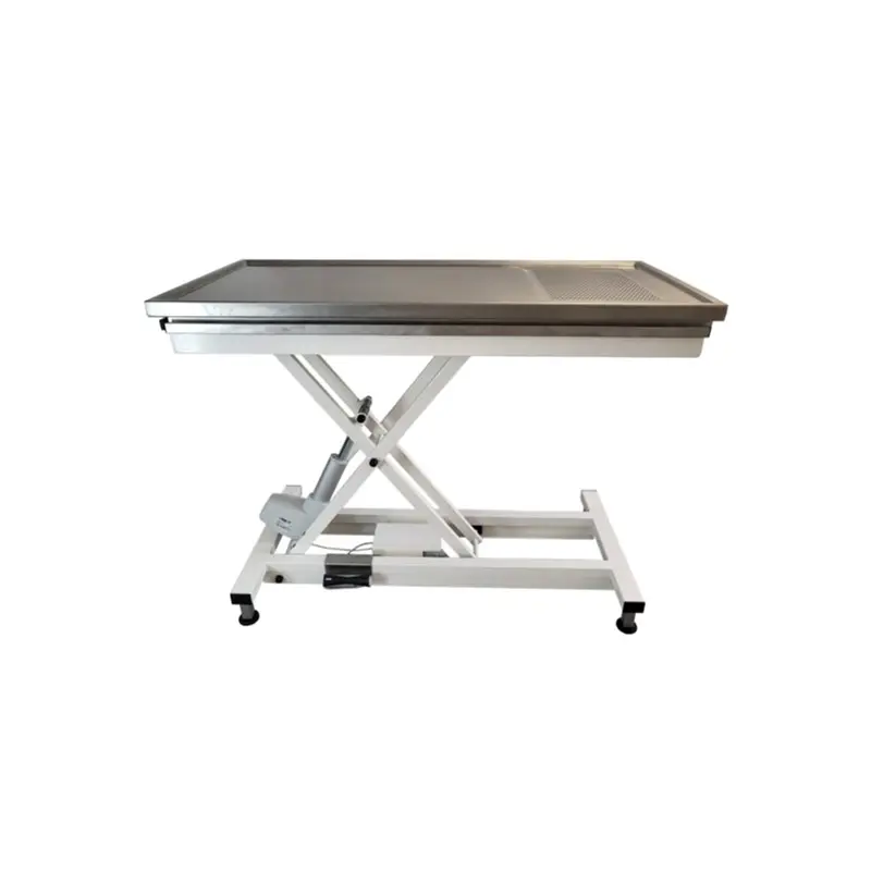 VETEQ X-Line DENTAL (X-Line scissor frame, white powder-coated, Electric motor)